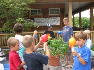 Sudbury Montessori Science