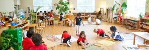 Sudbury Montessori School